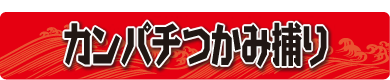 カンパチつかみ捕り